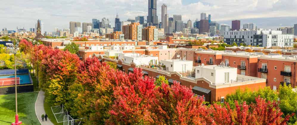 Fall in Chicago - When Is The Best Time To Sell My Chicago Home?