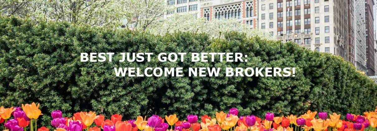 Welcome New Brokers!