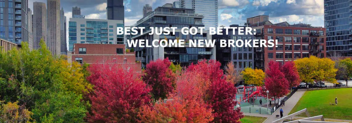 Vibrant autumn trees with colorful leaves in downtown Chicago city park.