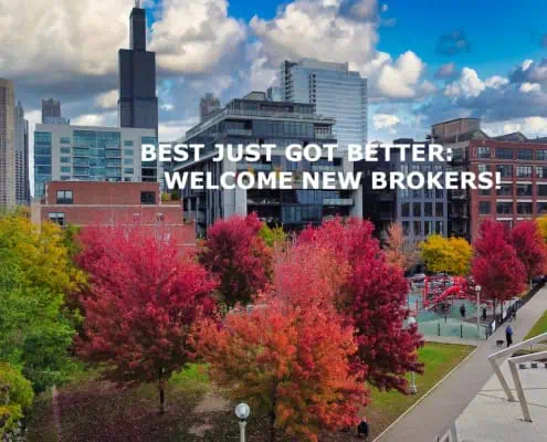 Vibrant autumn trees with colorful leaves in downtown Chicago city park.