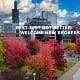Vibrant autumn trees with colorful leaves in downtown Chicago city park.